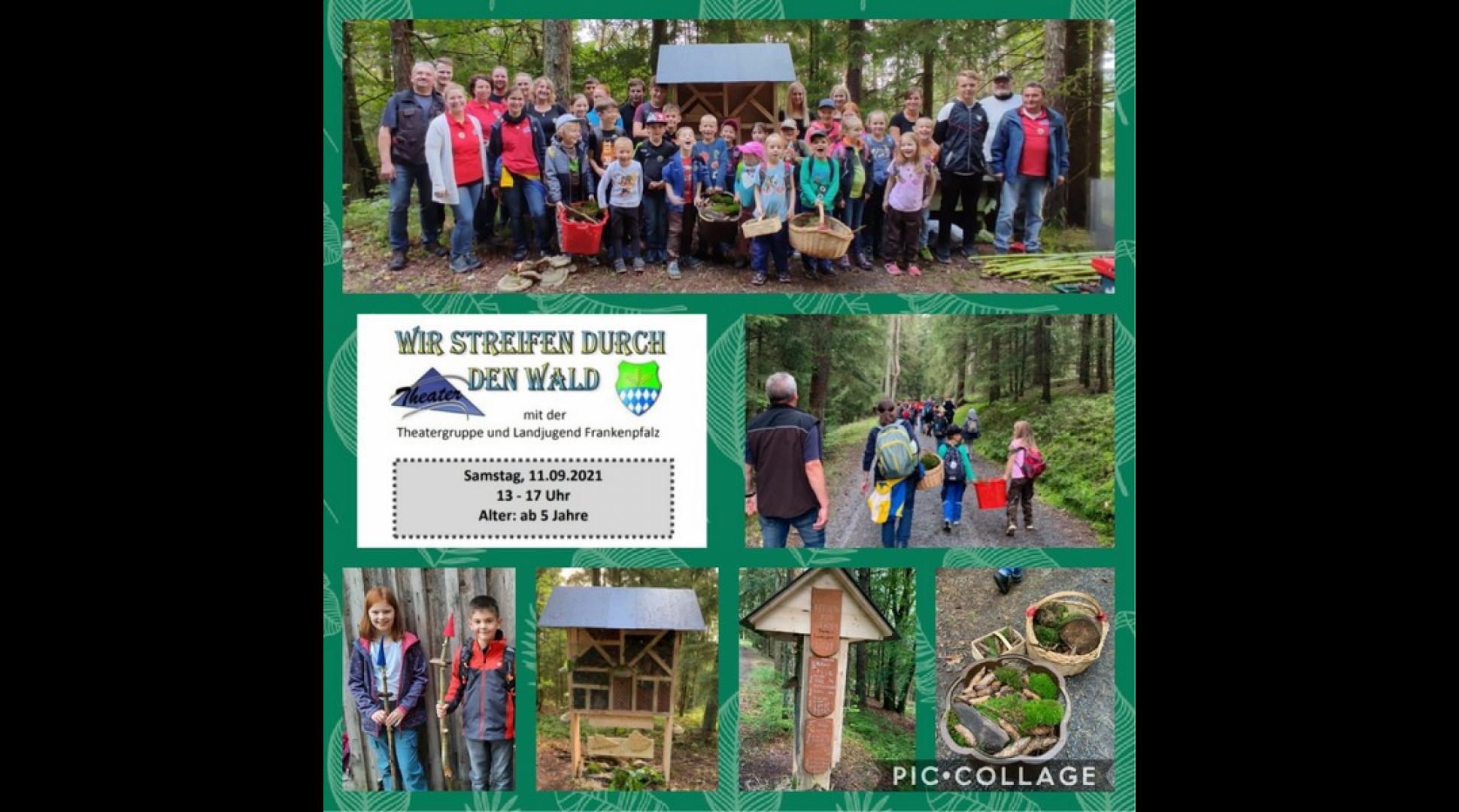 01 Wald 11. September 2021