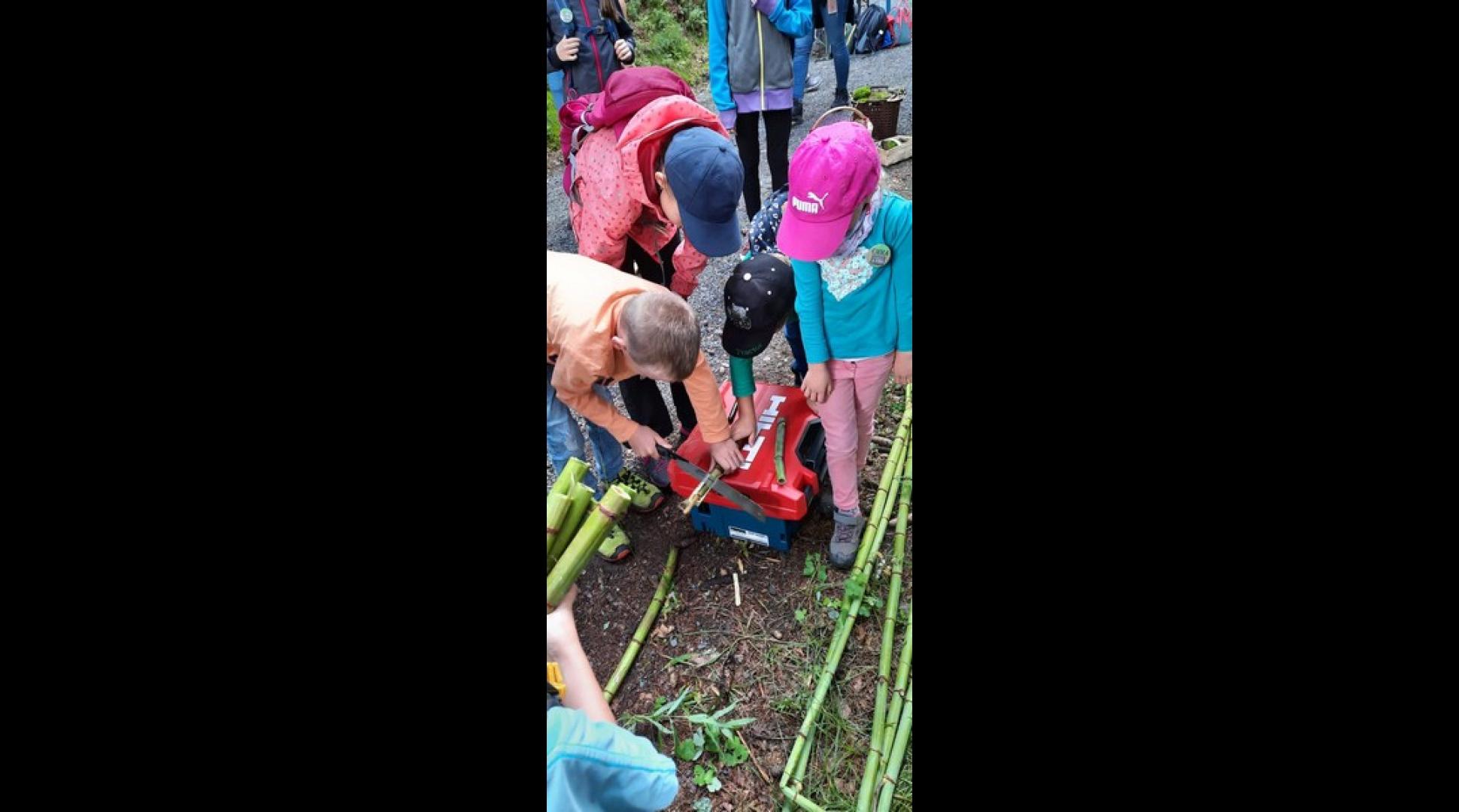 07 Wald 11. September 2021